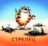 Apelsinmobile